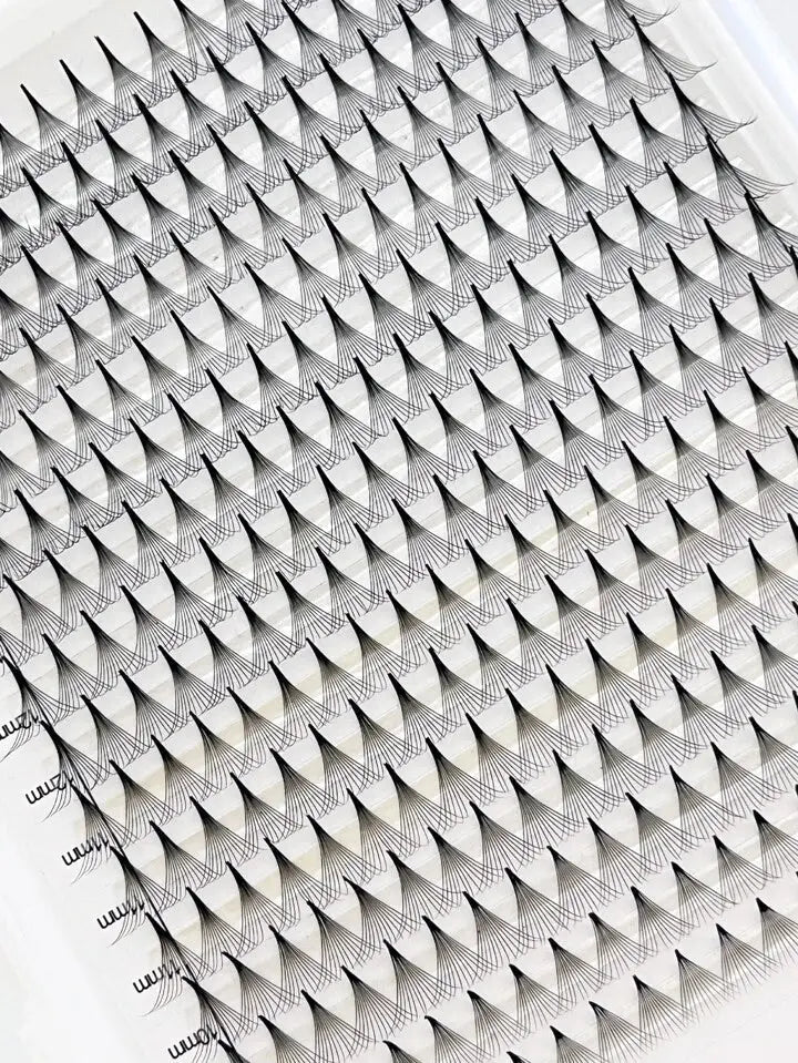 POINTY XL TRAYS My Store