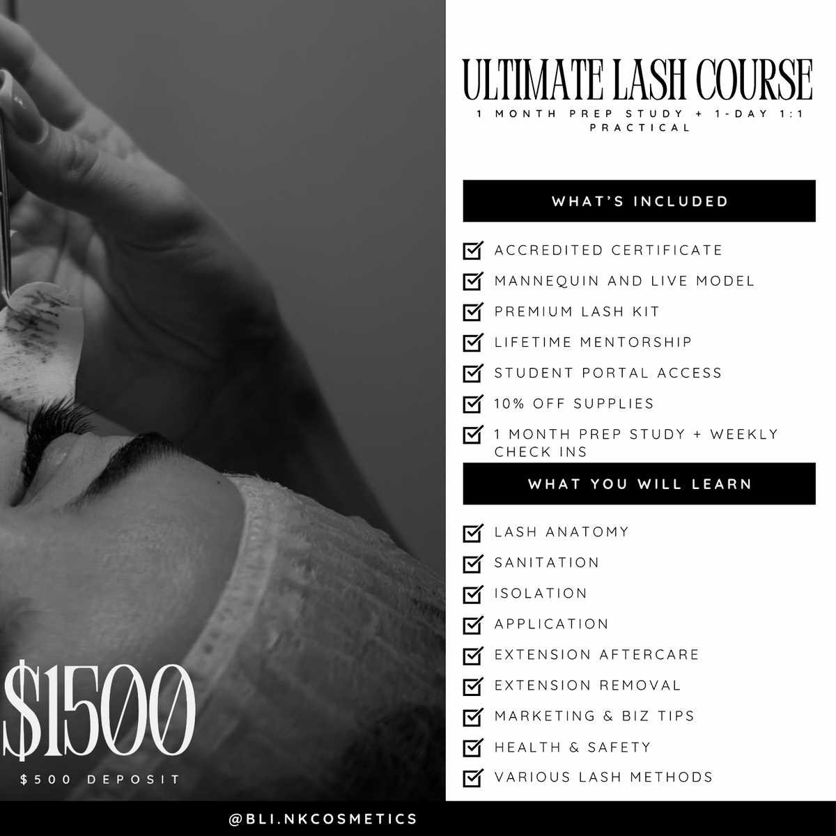 Ultimate Lash Course, $1500, blink cosmetics